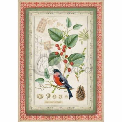 Dekupázs rizspapír A4 csom. - Kismadár fagyalágon