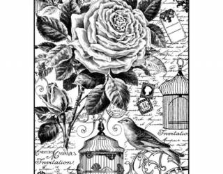 Dekupázs rizspapír A4 csom. - Kalitka