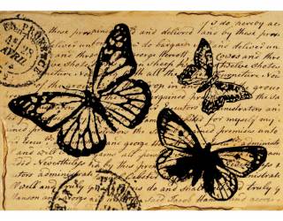 Dekupázs rizspapír A4 Butterly with words