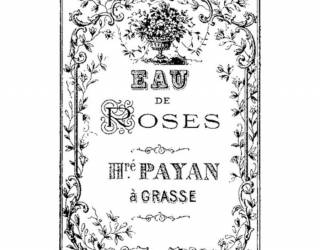 Akril pecsételő 7 x 11 cm Eau de roses