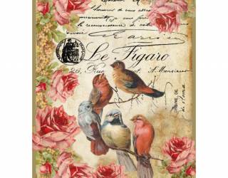 Dekupázs rizspapír A4 - Levélpapír madárkákkal