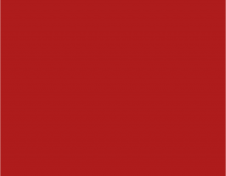 Színezék oldat 10 ml bordó