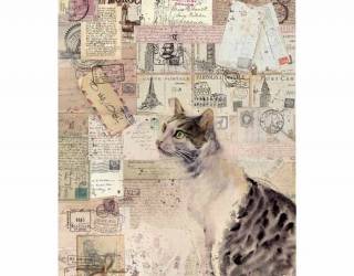 Dekupázs rizspapír A4 csom. - Jegyzetek macskával