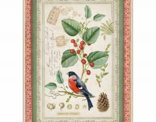 Dekupázs rizspapír A4 csom. - Kismadár fagyalágon