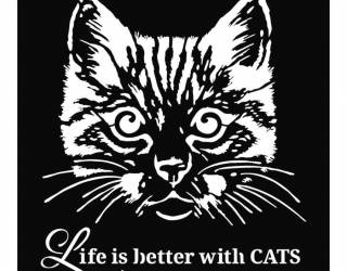 Stencil TD méret 18x18 cm/ 0,5 mm - Macska