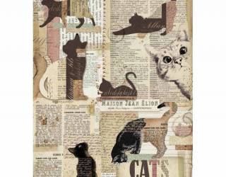 Dekupázs rizspapír A4 csom. - Macskák